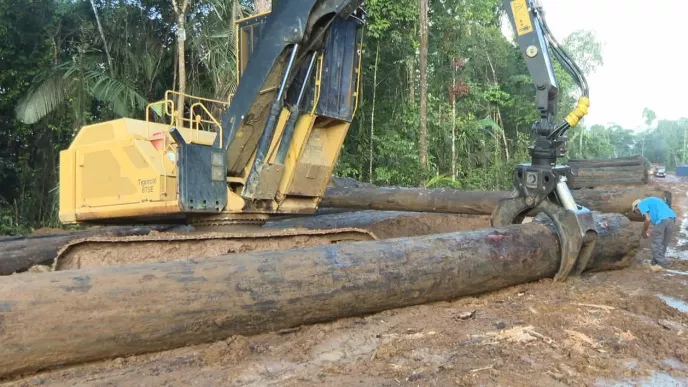 Pas la peine de regarder ailleurs