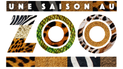 Logo Une saison au zoo