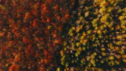 Revoir l'automne