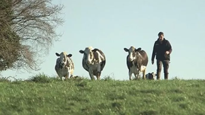 Le dernier des laitiers