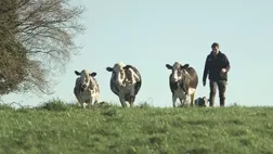 Le dernier des laitiers Le dernier des laitiers