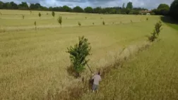 Paysan paysage Paysan paysage