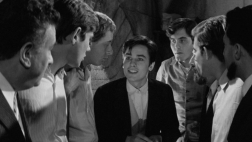 Quelle joie de vivre avec Alain Delon Quelle joie de vivre avec Alain Delon