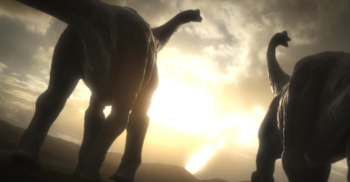 Le Dernier Jour Des Dinosaures France 5 Les derniers jours des dinosaures | FranceTvPro.fr