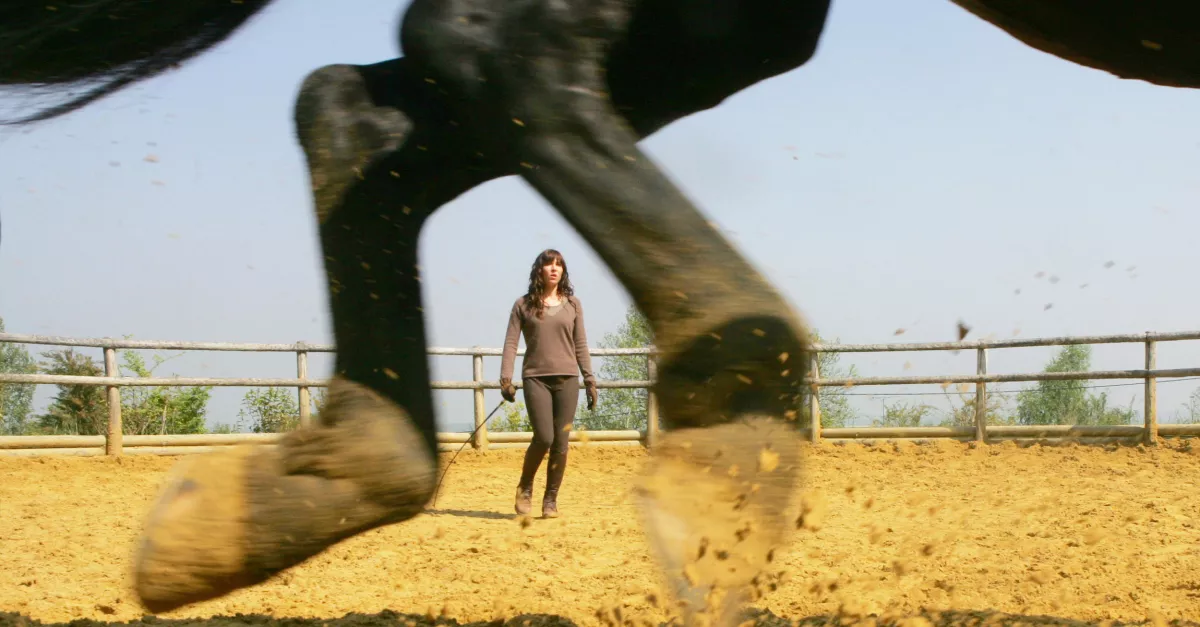 DANSE AVEC LUI | FranceTvPro.fr