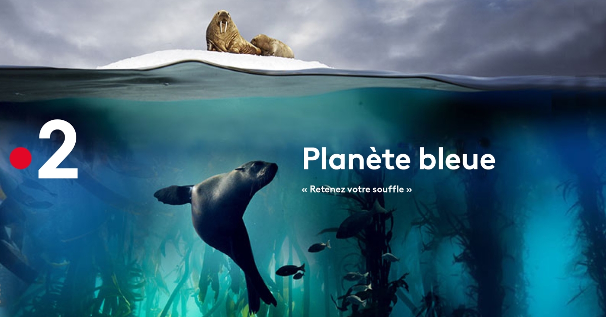 Planète bleue FranceTvPro.fr