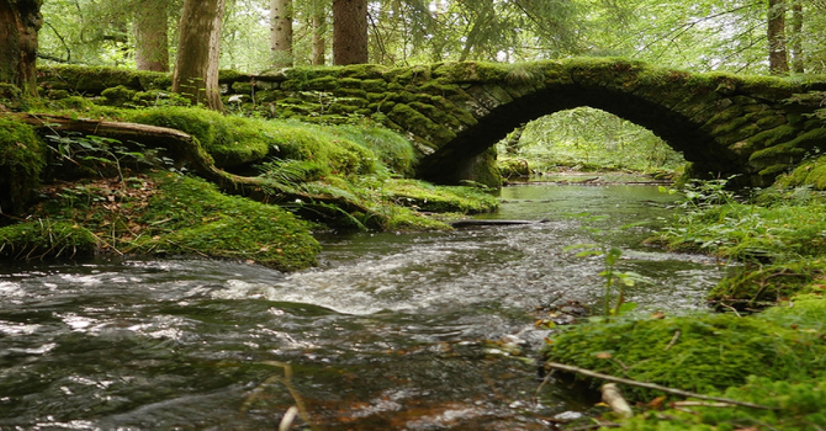 La rivière FranceTvPro.fr