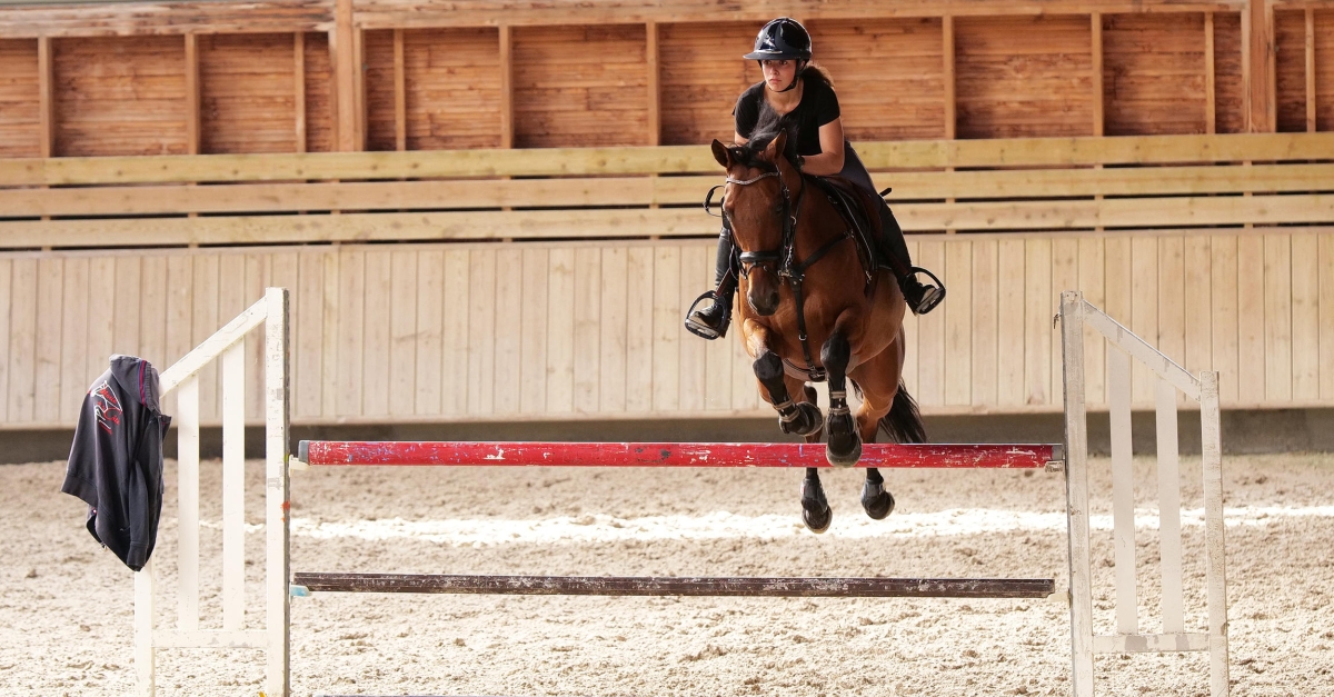 Au Galop Une Saison à Cheval Au galop ! Une saison à cheval | FranceTvPro.fr