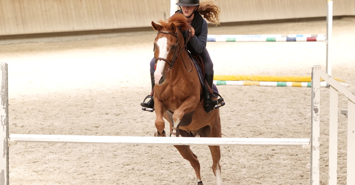 Au Galop France 4 Saison 2 TOURNAGE - Au galop saison 2 et Une saison au zoo saison 14