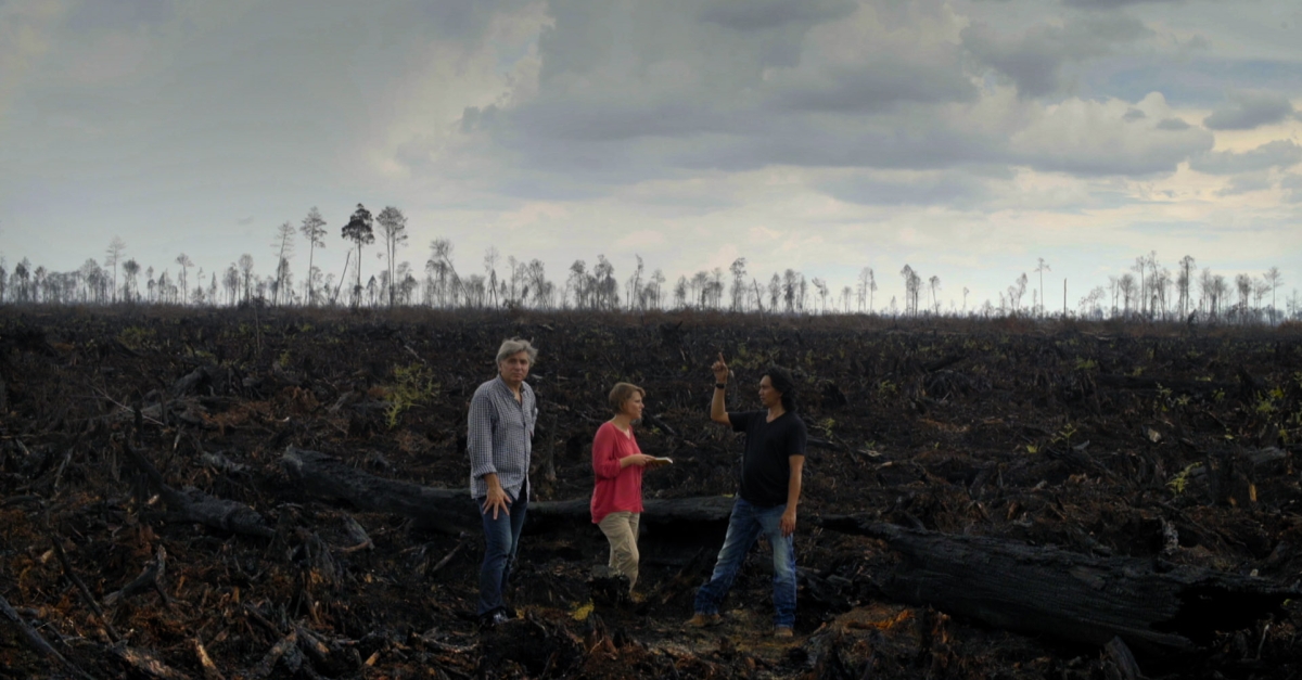 Kjære planetsamling |  FranceTvPro.fr