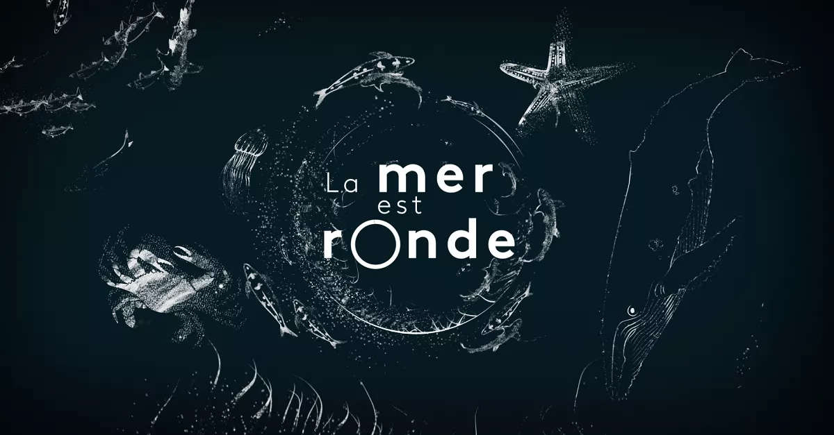 La mer est ronde : Herbiers marins — Francetvpro.fr