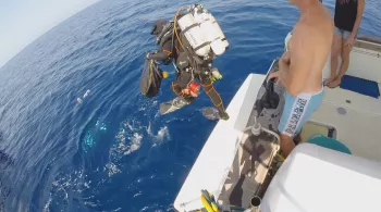 Plongée d'un corailleur