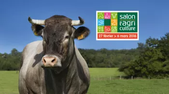 Cerise, vache mascotte du SIA