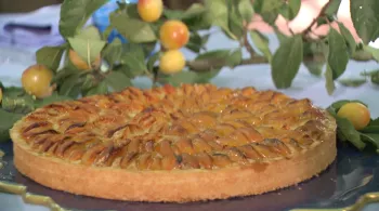 Le temps des mirabelles