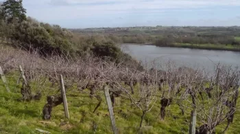 Pays d'Ancenis