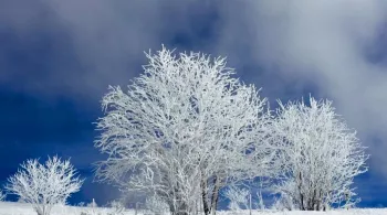 Les vosges sous la neige