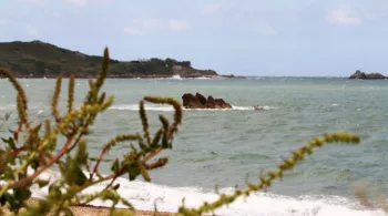 La petite Irlande