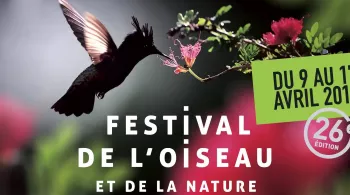 Festival de l'oiseau