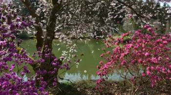 PCPL Les jardins extraordinaires des Vosges