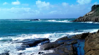 Thalassa "On ira tous aux Canaries