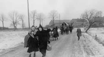 LES DERACINES, L'EUROPE EN 45