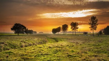campagne