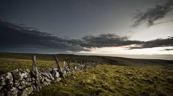 plateau de l'Aubrac