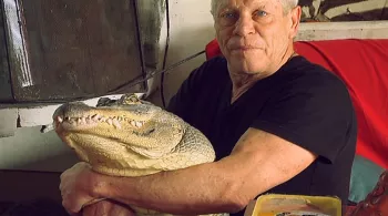 Fous d'animaux