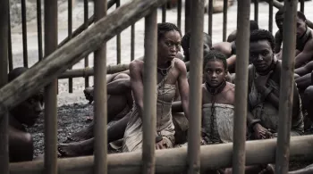 THE BOOK OF NEGROES