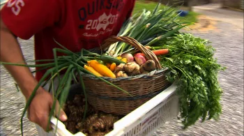 un marché bio