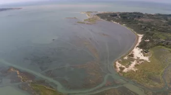 L'appel de la baie