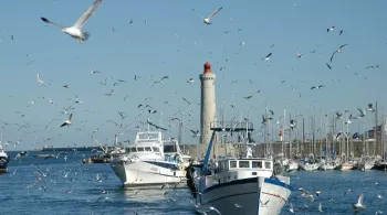 bateau de pêche