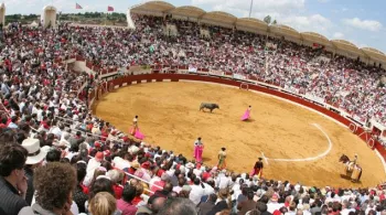 Arènes de Vic Fezensac