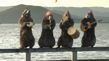 C'est l'été sur France 3 Bretagne-La semaine