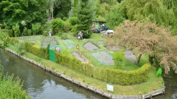 hortillonnages