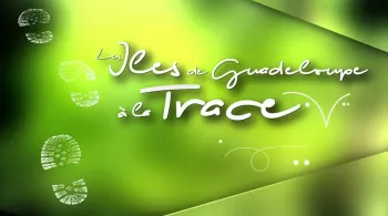visuel de l'émission @corpoartproduction