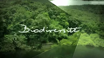 la biodiversité