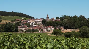 Paysage de Bourgogne