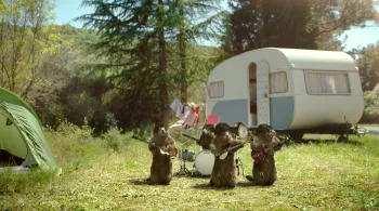 Habillage antenne été - marmottes beatles
