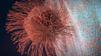 VIRUS GEANTS