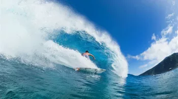 PF SEM 36 SURF