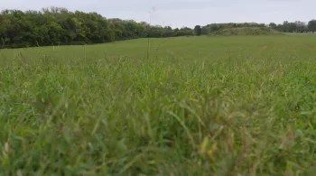 LA MYSTERIEUSE CITE DE CAHOKIA