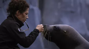 AU COEUR DU ZOO DE PARIS