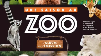 Une saison au zoo