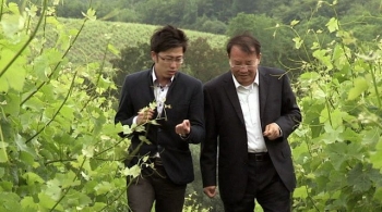 Les chinois investissent dans les propriétés viticoles bordelaises