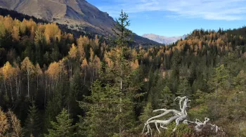 Les contamines