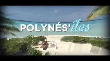 PF SEM 40 POLYNESILES