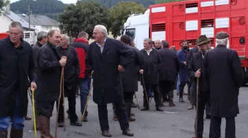 Négociants en bestiaux