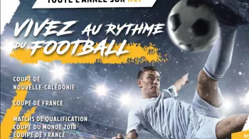 Tout le sport