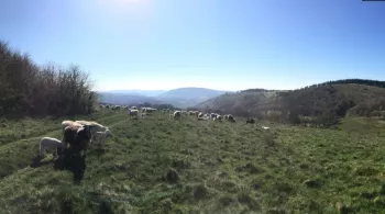 Corrèze